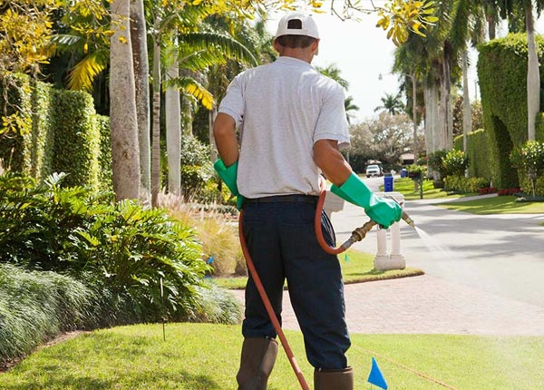 About Leland NC Pest Control